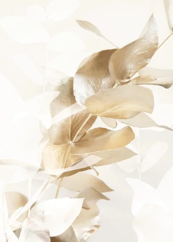 Golden Eucalyptus No1 Print