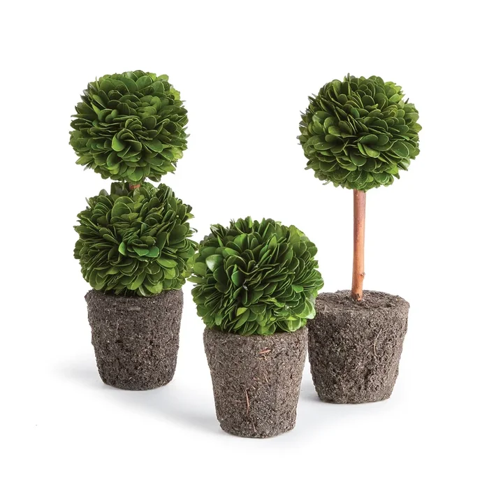 Mini Topiary Drop-Ins, Set of 3