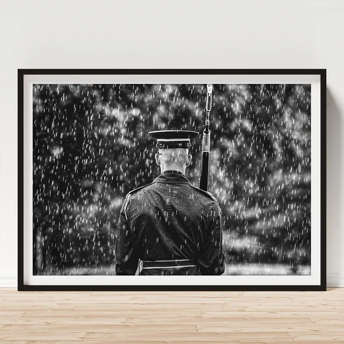 The Sentinel – In All Kinds of Weather #1 Art Print