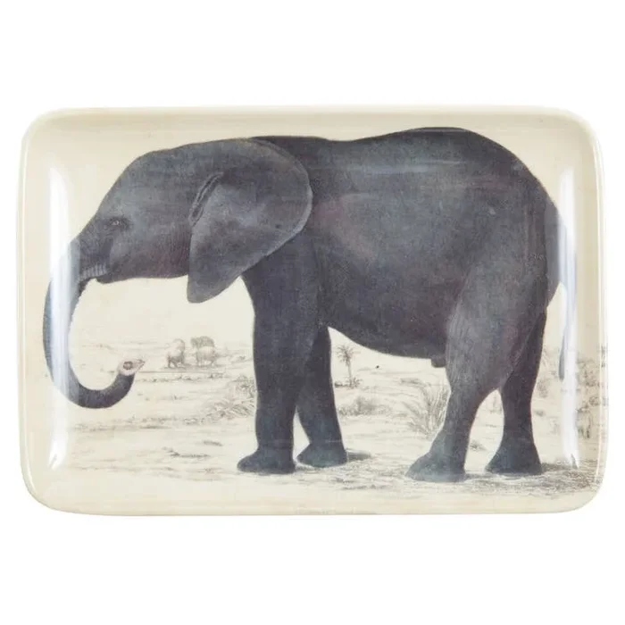 Trunks Valet Tray