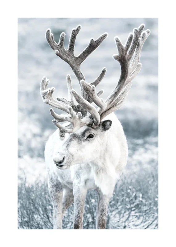 Winter Reindeer Print