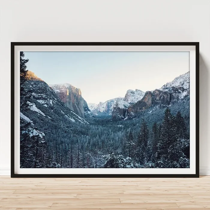 Yosemite – green-leafed trees Art Print