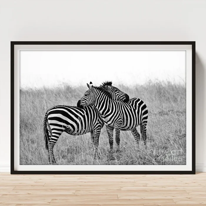 Zebra Hug Art Print