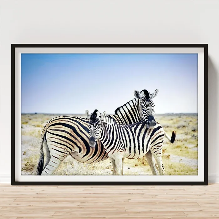 Zebra Mother And Her Foal In Etosha Art Print