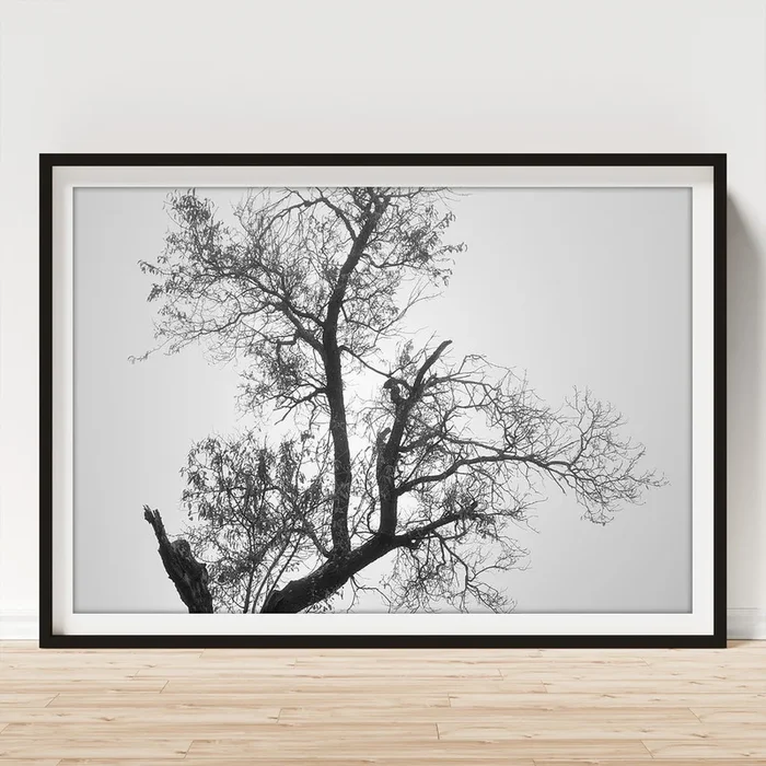 Zen tree Art Print